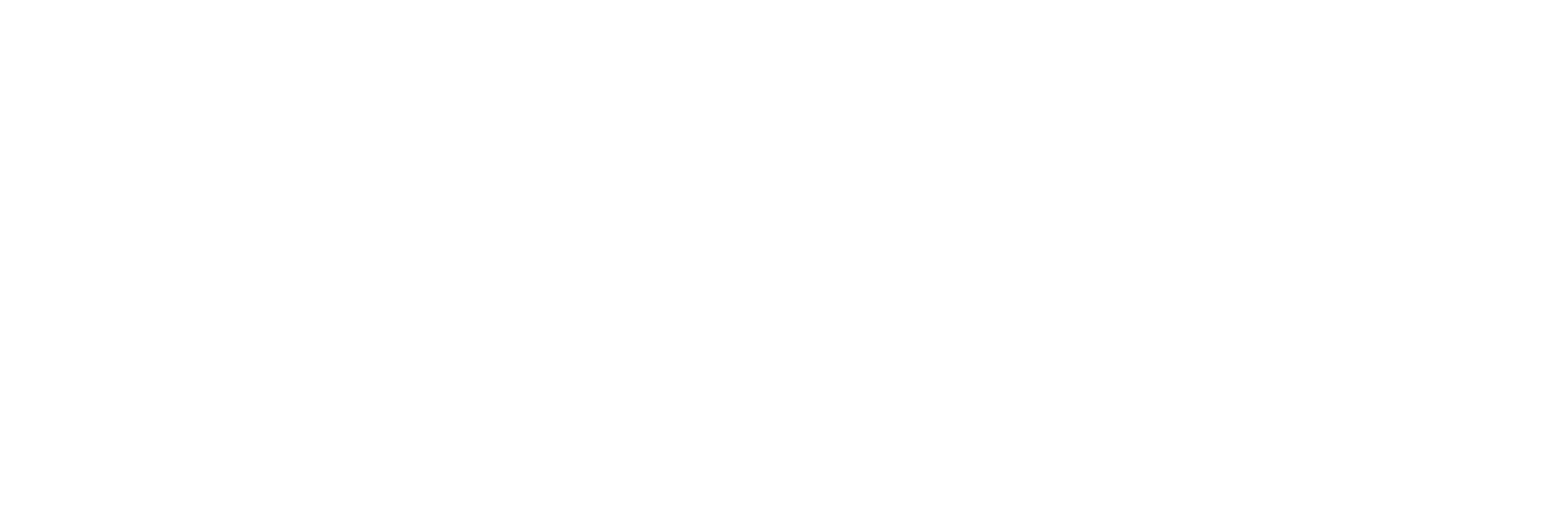 AV-X